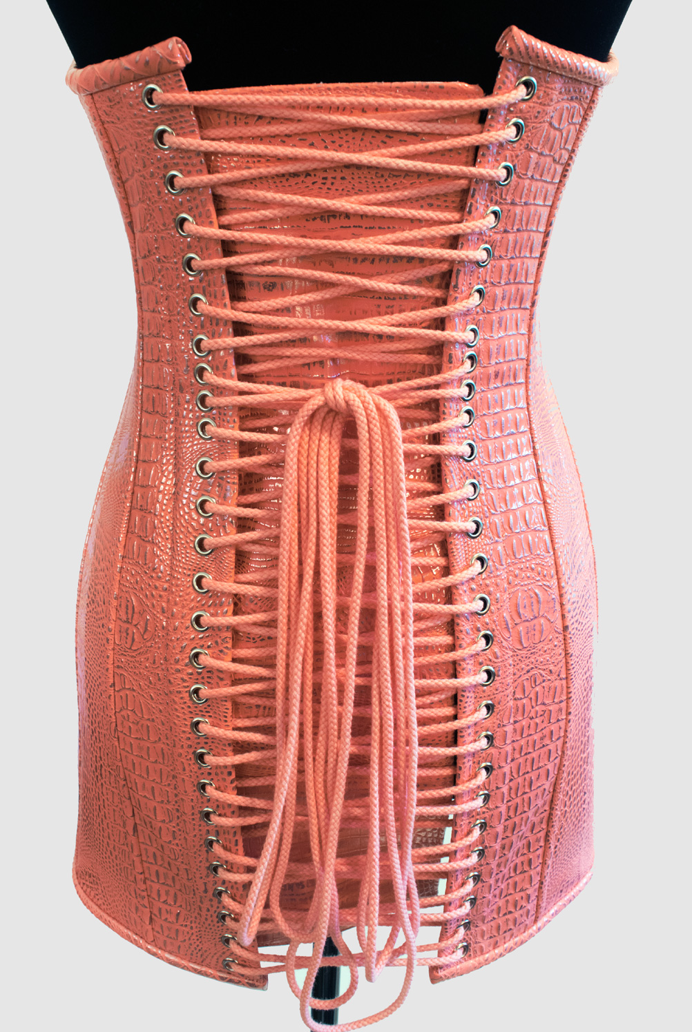 https://www.champagnecorsets.com/wp-content/uploads/2019/04/The-Skinny-Confidential-Underbust-Corset-Dress-3-R2.jpg